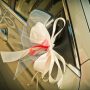 4 Ways To Decorate Your Limo